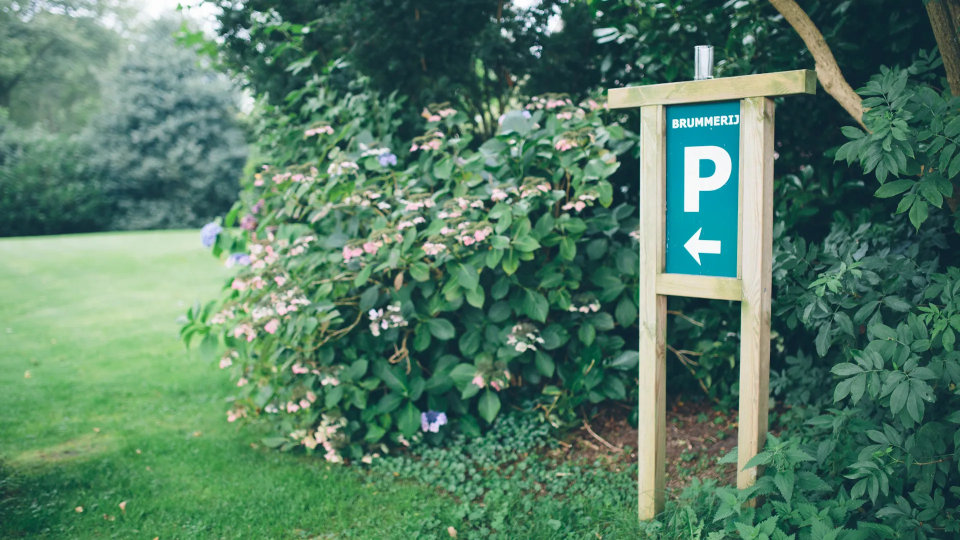 Parkeerbord in tuin met bloemen