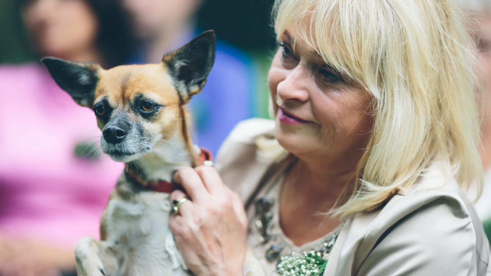 Vrouw houdt kleine hond vast buiten.